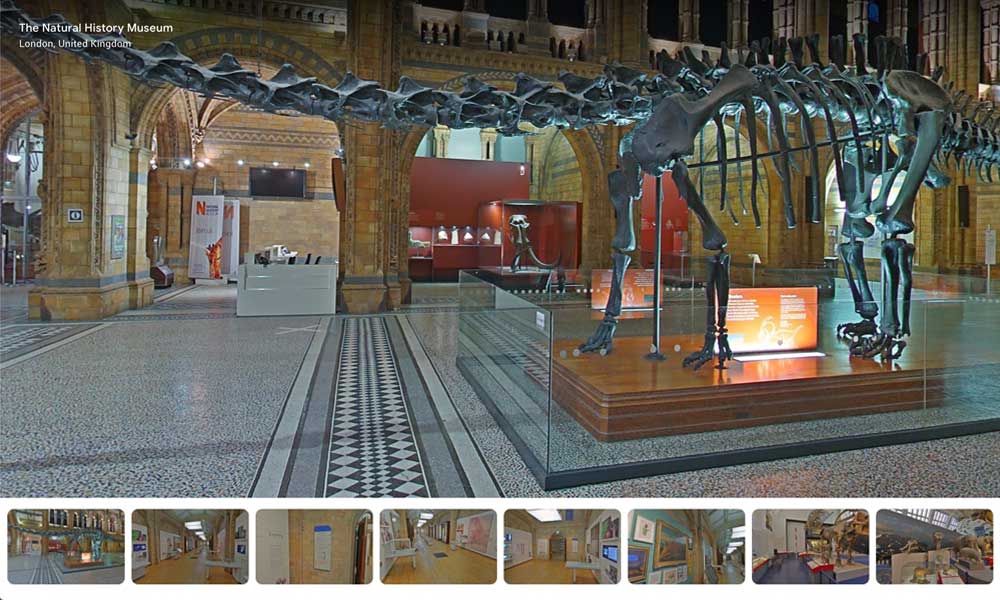 The Natural History Museum VR Tour Screenshot